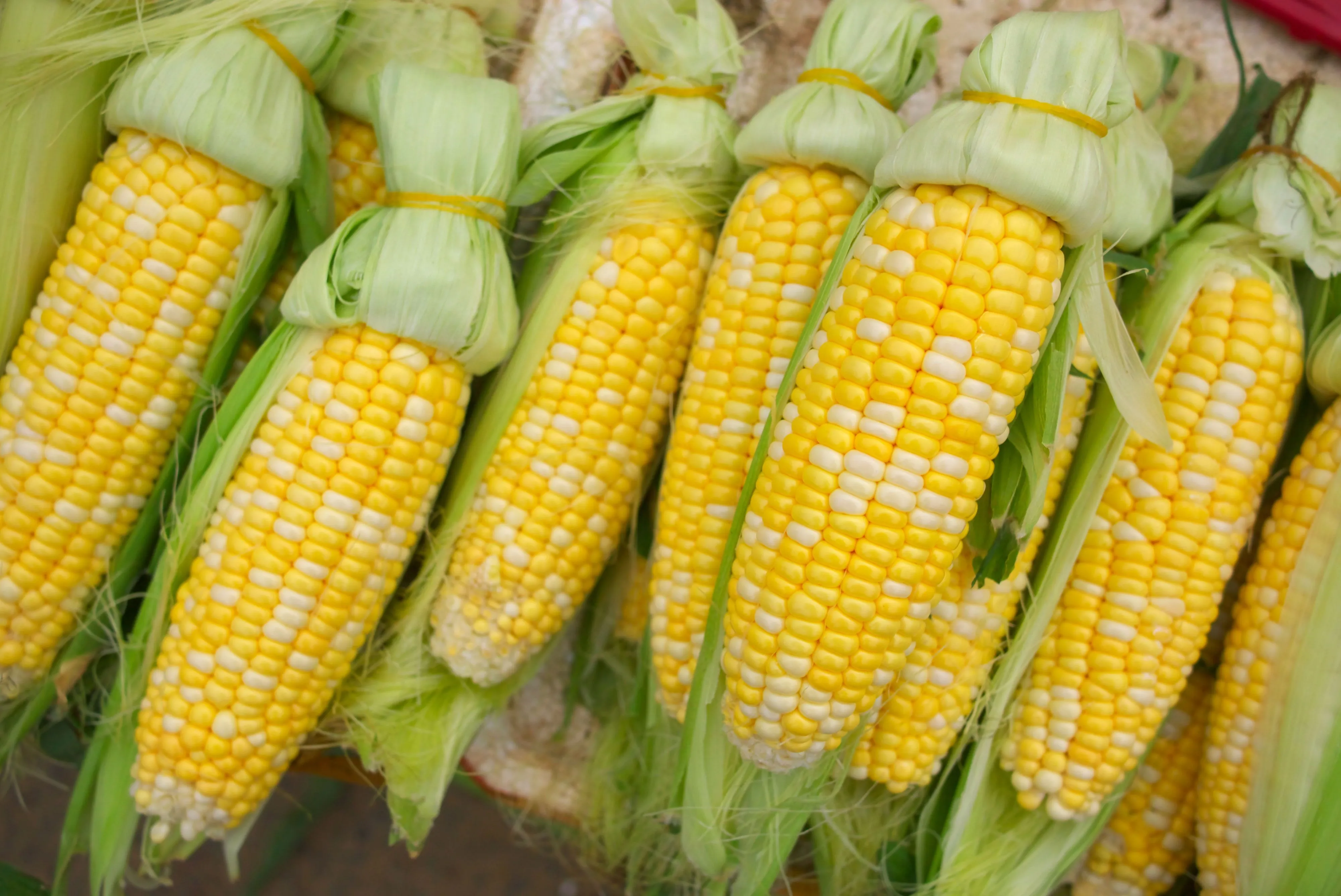 Super Sweetcorn