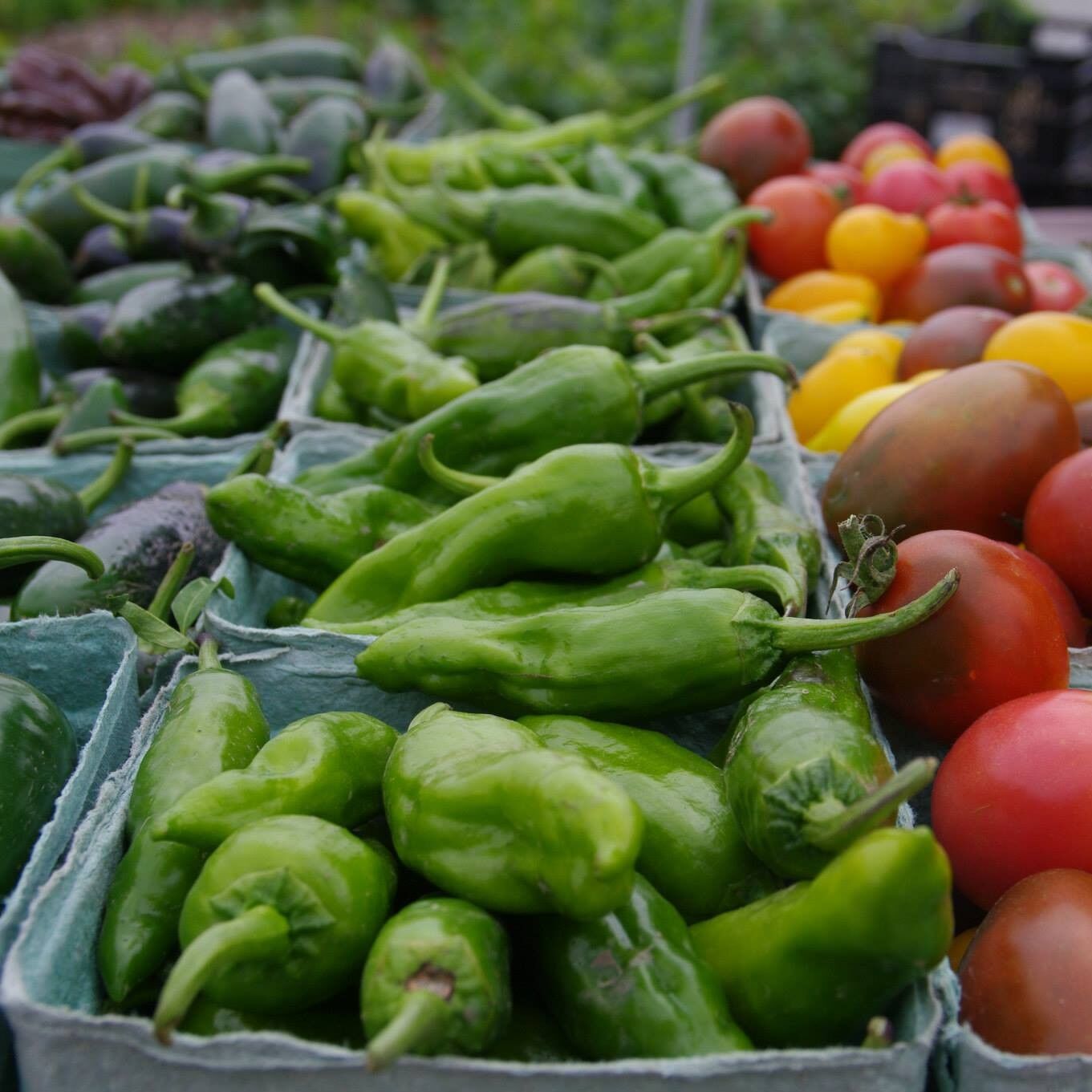 Urbana’s Market at the Square