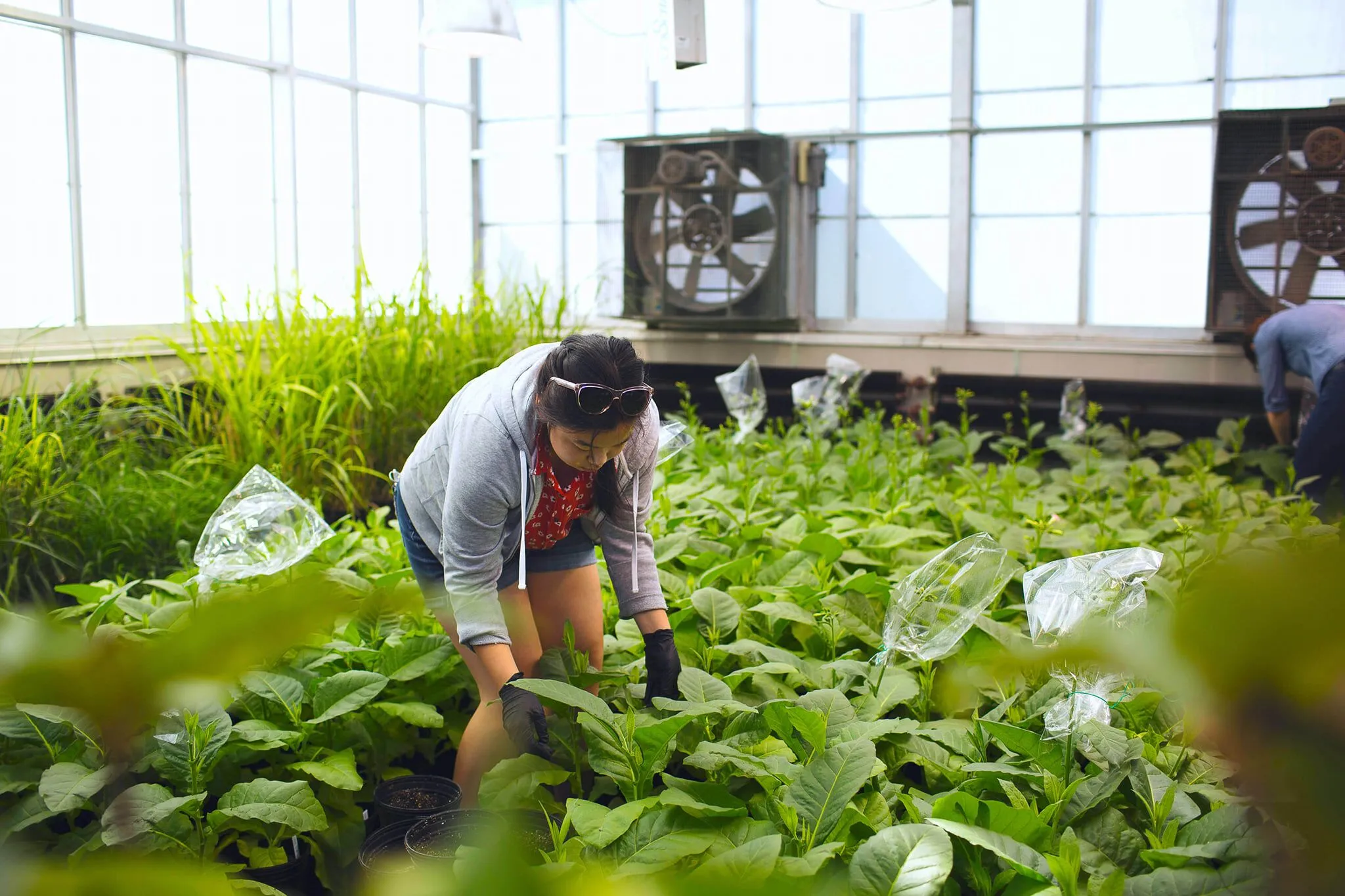 AgTech Community