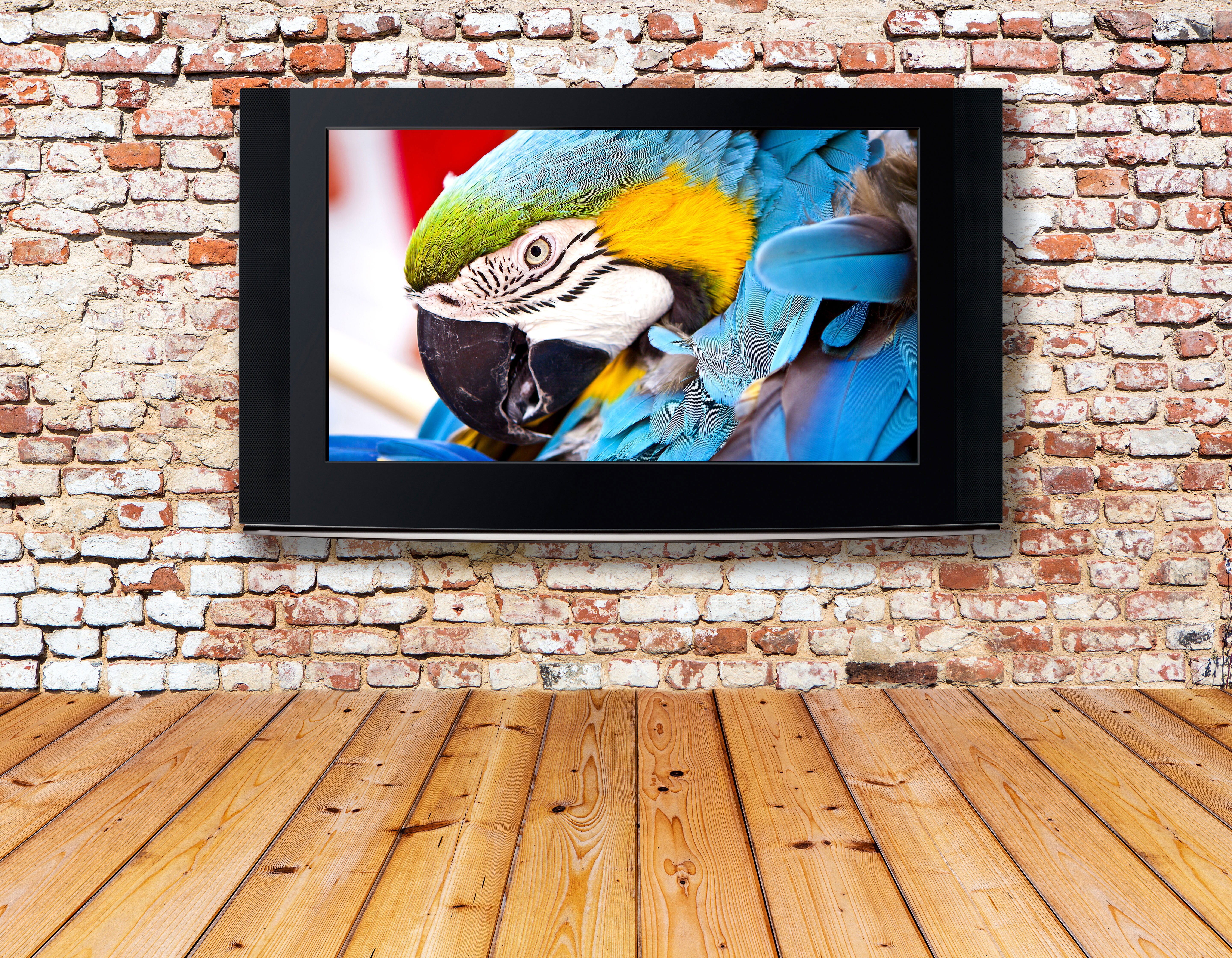 Plasma Televisions